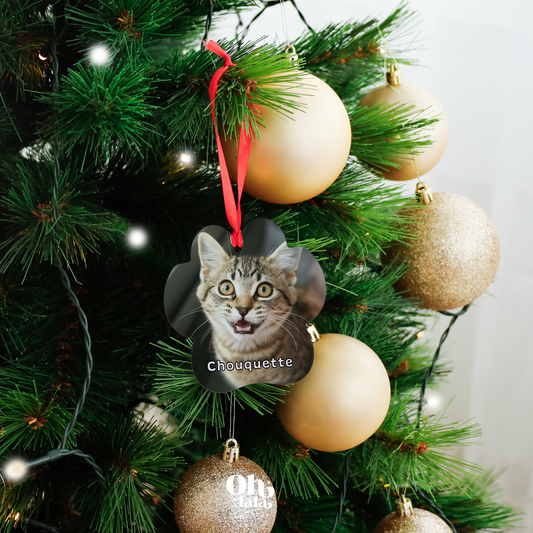 Patte de chat personnalisée 🎄 Décoration de sapin